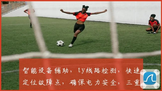 智能设备辅助，ty线路检测，快速定位故障点，确保电力安全，三重保障，专业可靠。