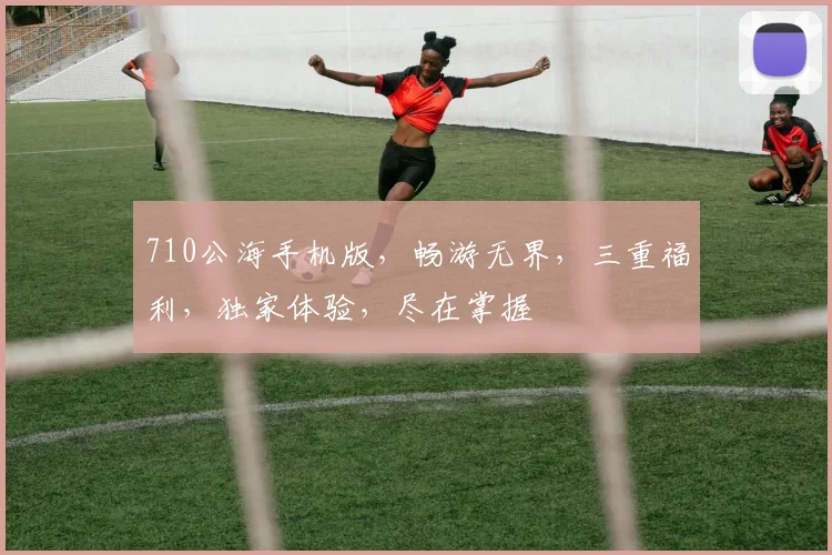710公海手机版，畅游无界，三重福利，独家体验，尽在掌握