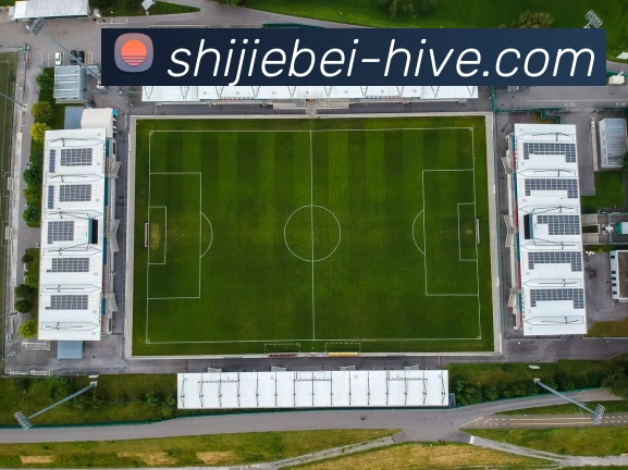 体育赛事直播